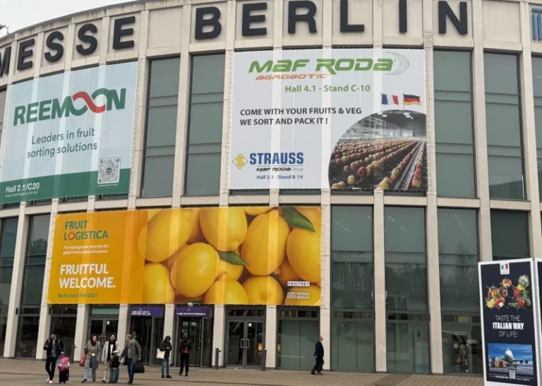 Safi Roots at Fruit Logistica 2025: Showcasing African Excellence to the World